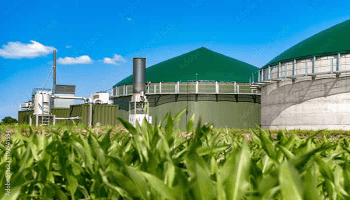 bio mass energy
